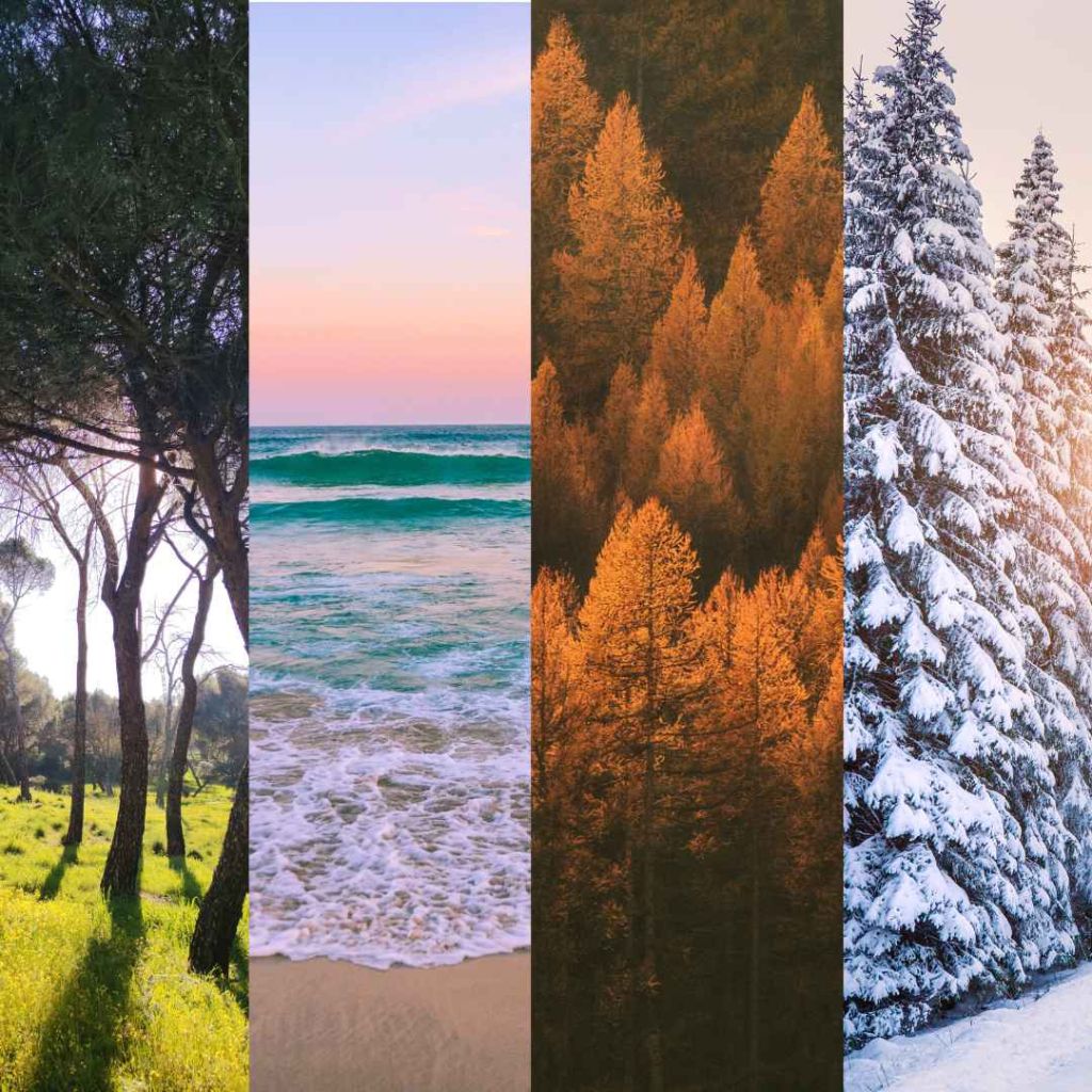 Maintaining wood floor